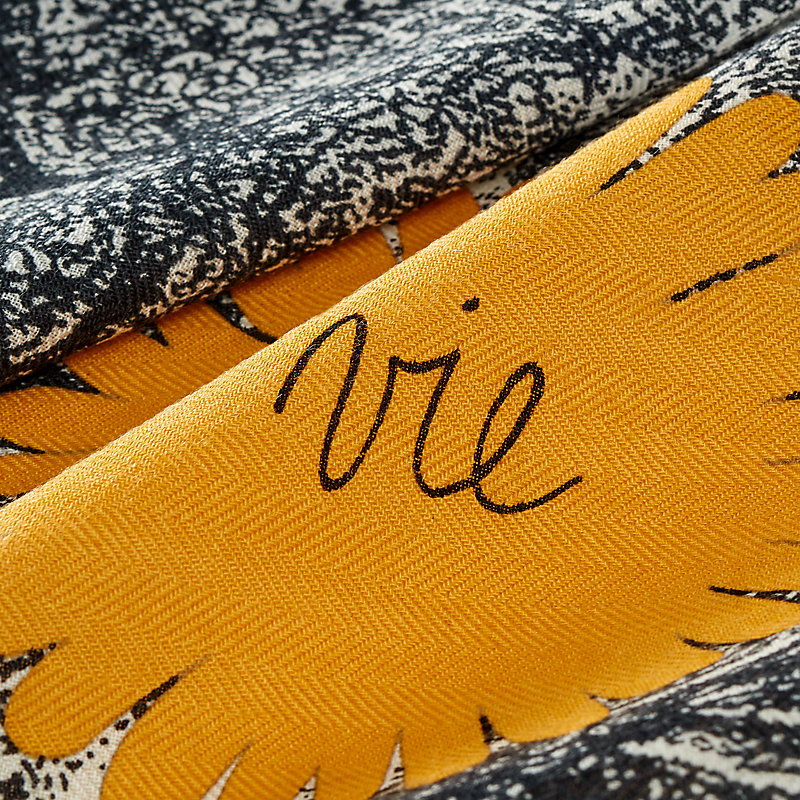 Hermès Friend of a Lifetime Scarf 45