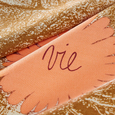 Hermès Friend of a Lifetime Scarf 45