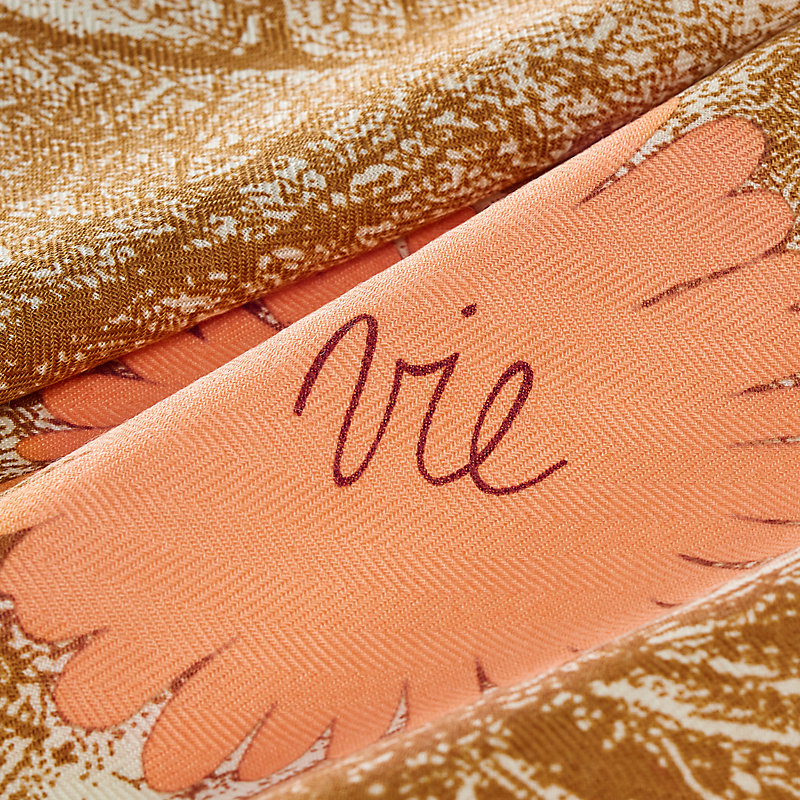 Hermès Friend of a Lifetime Scarf 45