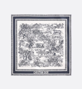 Dior Dior printed scarf