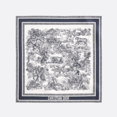Dior Dior printed scarf