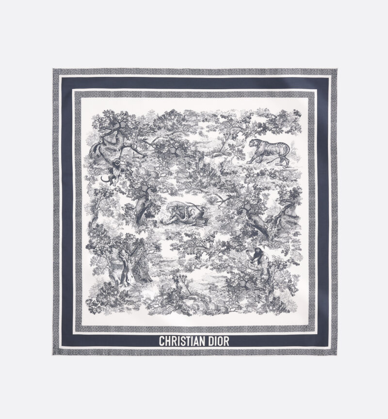 Dior Dior printed scarf
