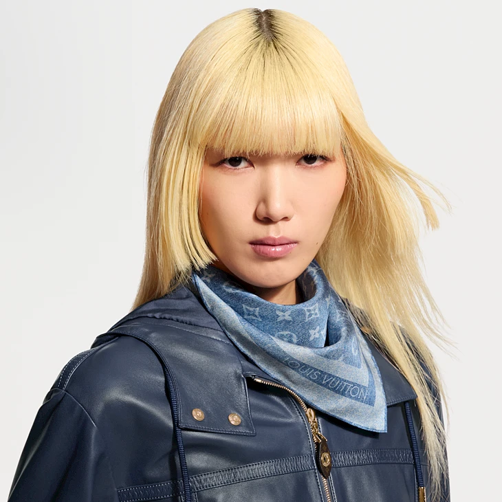 Louis Vuitton monogram silhouette denim 55 scarf