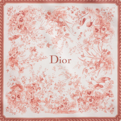 Dior Dior printed scarf