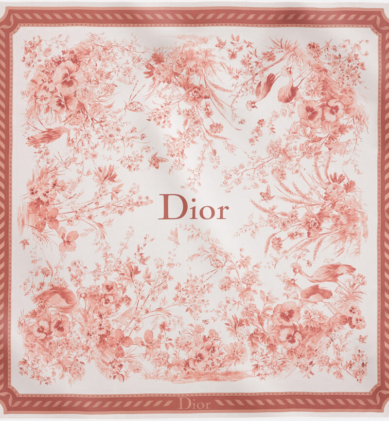 Dior Dior printed scarf