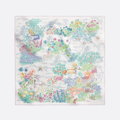 Dior Dior printed scarf