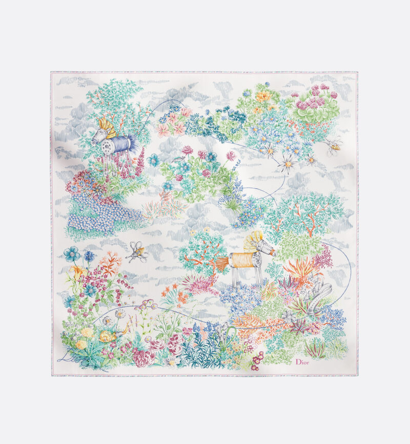 Dior Dior printed scarf