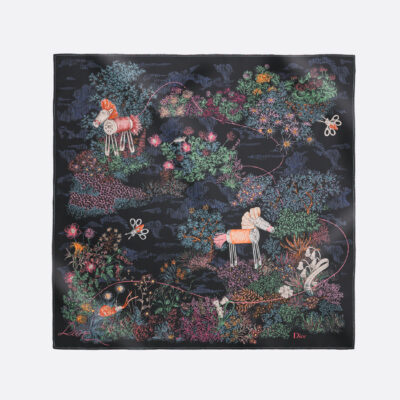 Dior Dior printed scarf