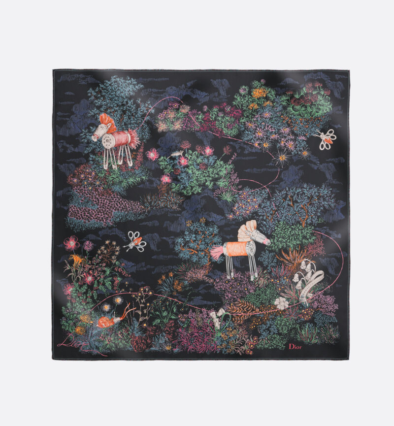 Dior Dior printed scarf