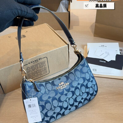 Coach Teri Denim Underarm Bag