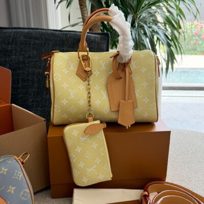 Louis Vuitton Speedy P9 bag