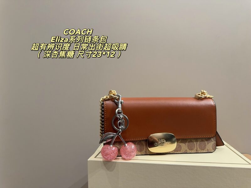 Coach Eliza chain bag