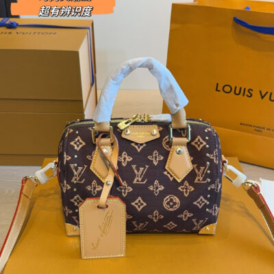 LV Speedy Nano Handbag