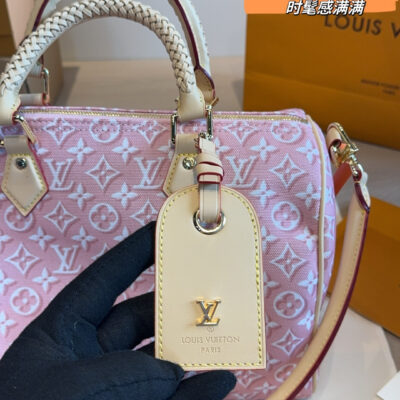 LV Speedy 30 Handbag
