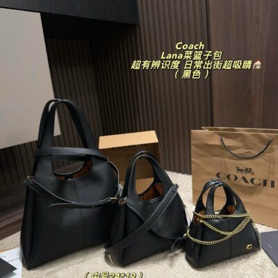 Coach Lana Handbag