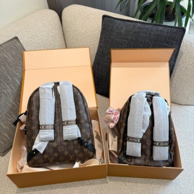 A Lv presbyopic backpack that can be driven by both boys and girls