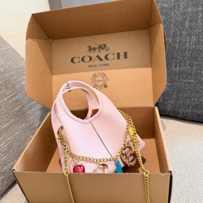 Coach Lana 19 Chain Bag
