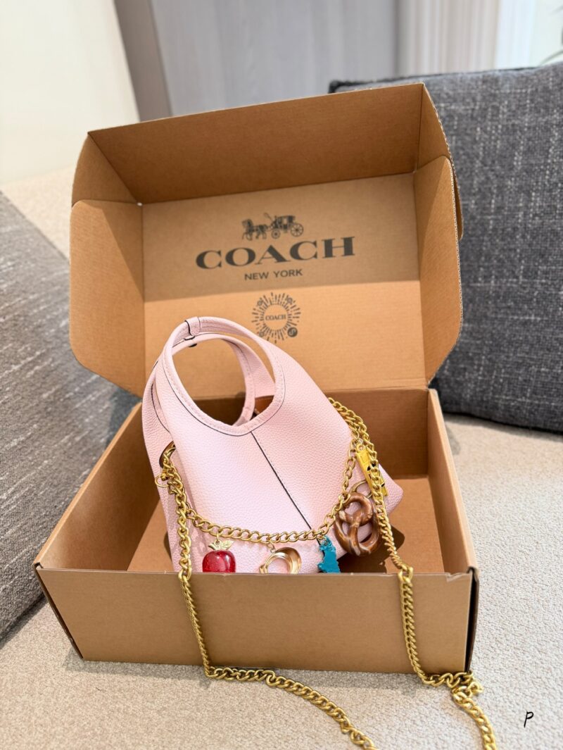 Coach Lana 19 Chain Bag